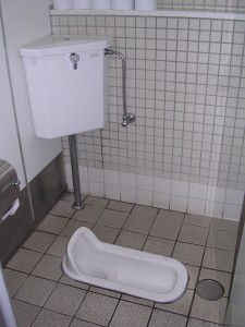 Washiki (traditional Japanese toilet)